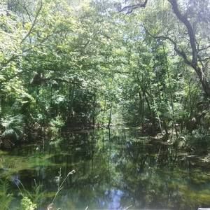 Meet your Posher, Hillary